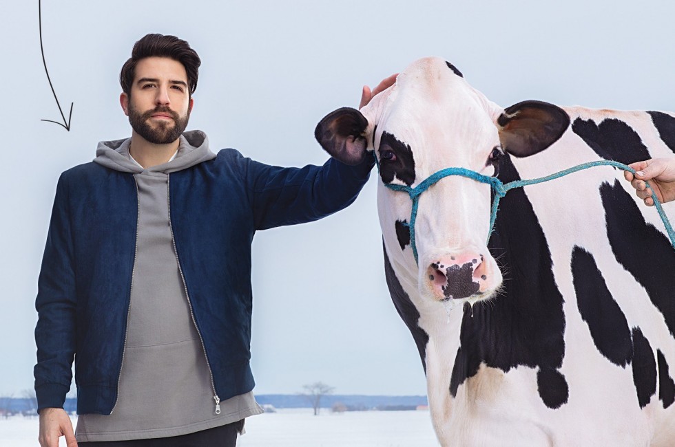 Les dalmatiens sont énormes en campagne