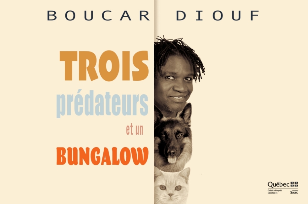 Trois prédateurs et un bungalow